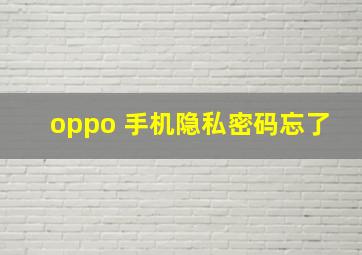 oppo 手机隐私密码忘了